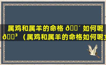 属鸡和属羊的命格 🐴 如何呢 🌳 （属鸡和属羊的命格如何呢女孩）